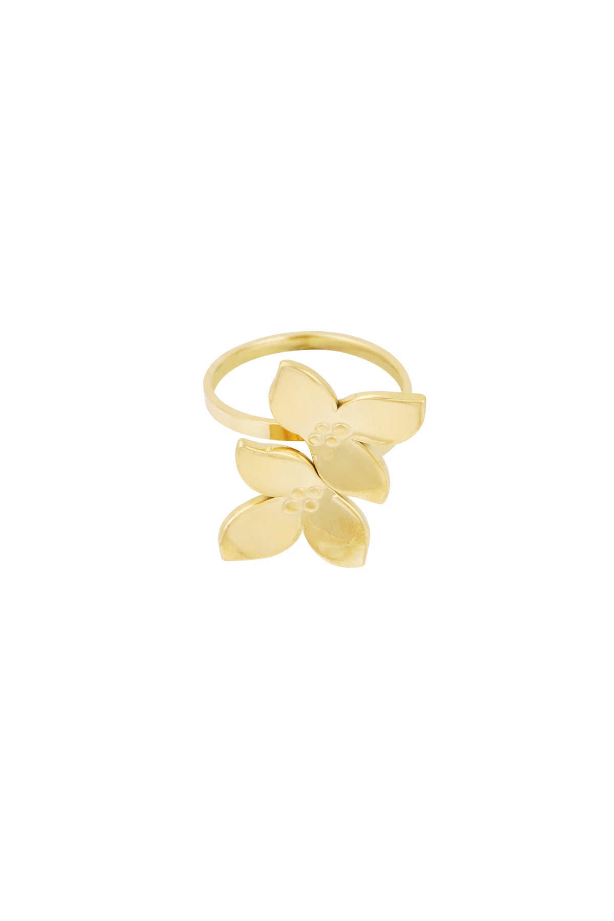 Lia Ring
